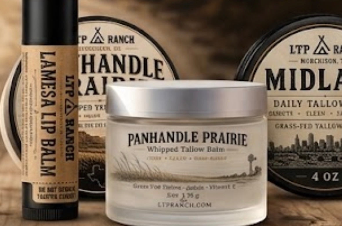 Lamesa | Honey Tallow Lip Balm
